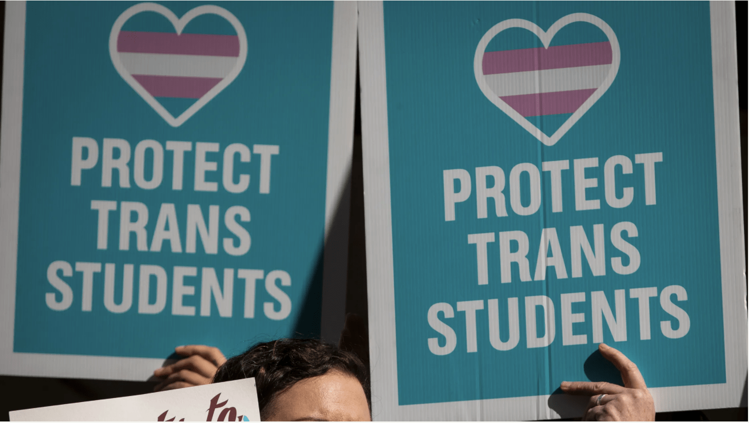 Image of people holding Protect Trans Students signs at a rally