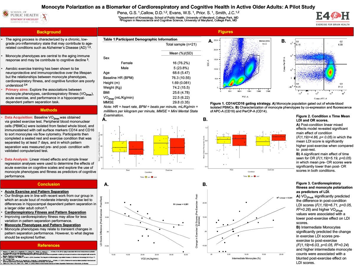 Monocyte Polarization as a Biomarker of Cardiorespiratory and Cognitive Health in Active Older Adults: A Pilot Study research poster
