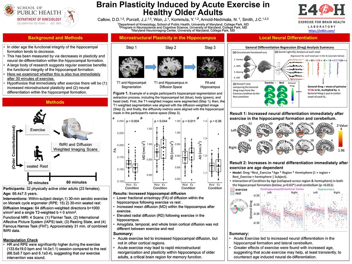 Brain Plasticity Induced by Acute Exercise in Healthy Older Adults research poster