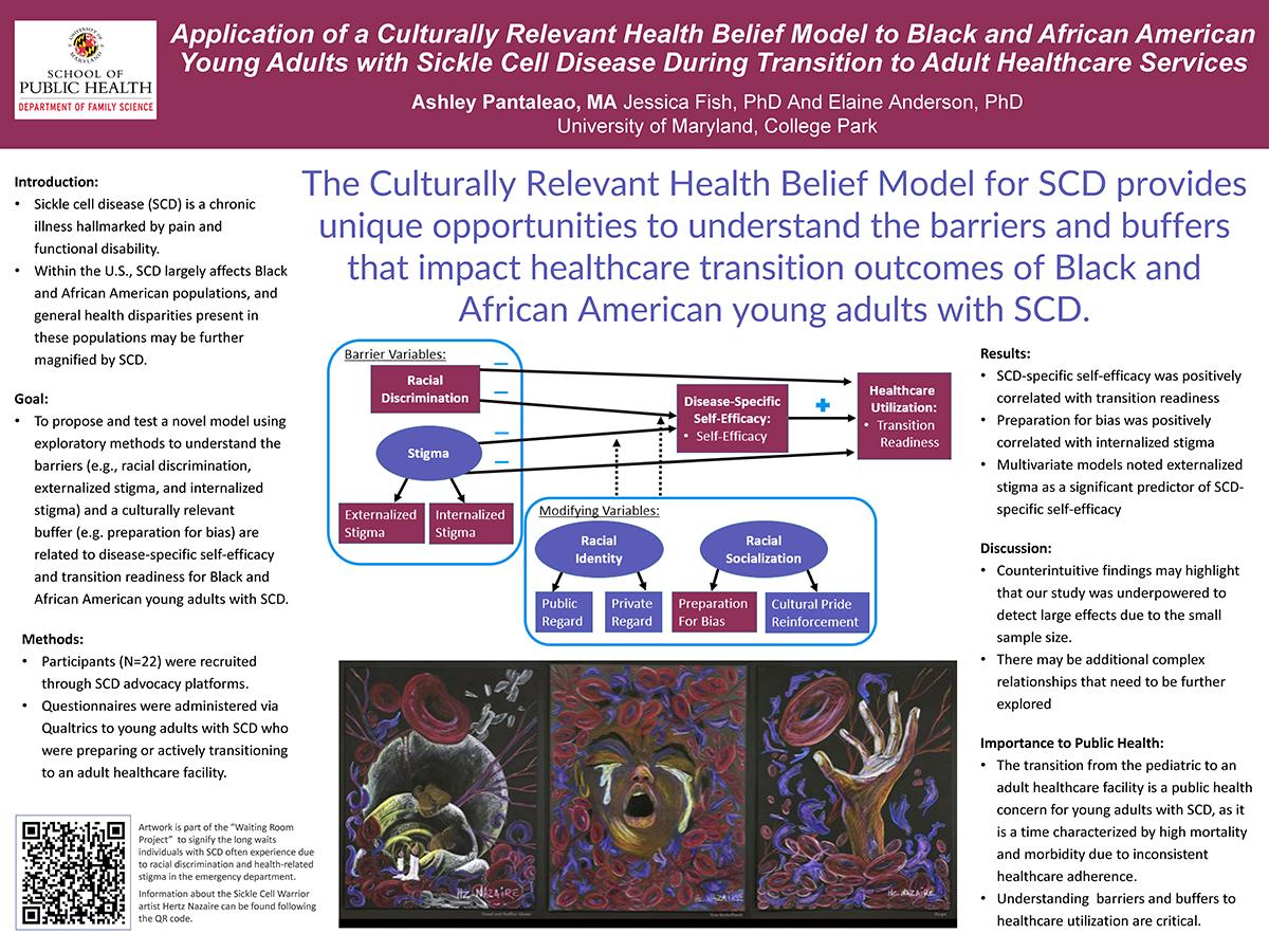 Application of a Culturally Relevant Health Belief Model to Black and African American Young Adults with Sickle Cell Disease During Transition to Adult Healthcare Services 