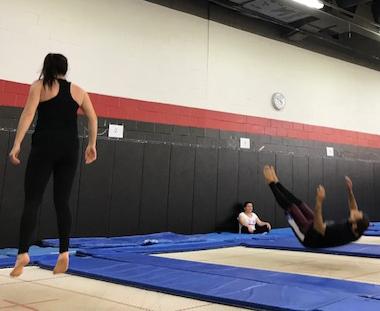 Adult Trampoline