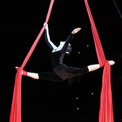 Aerial Silks