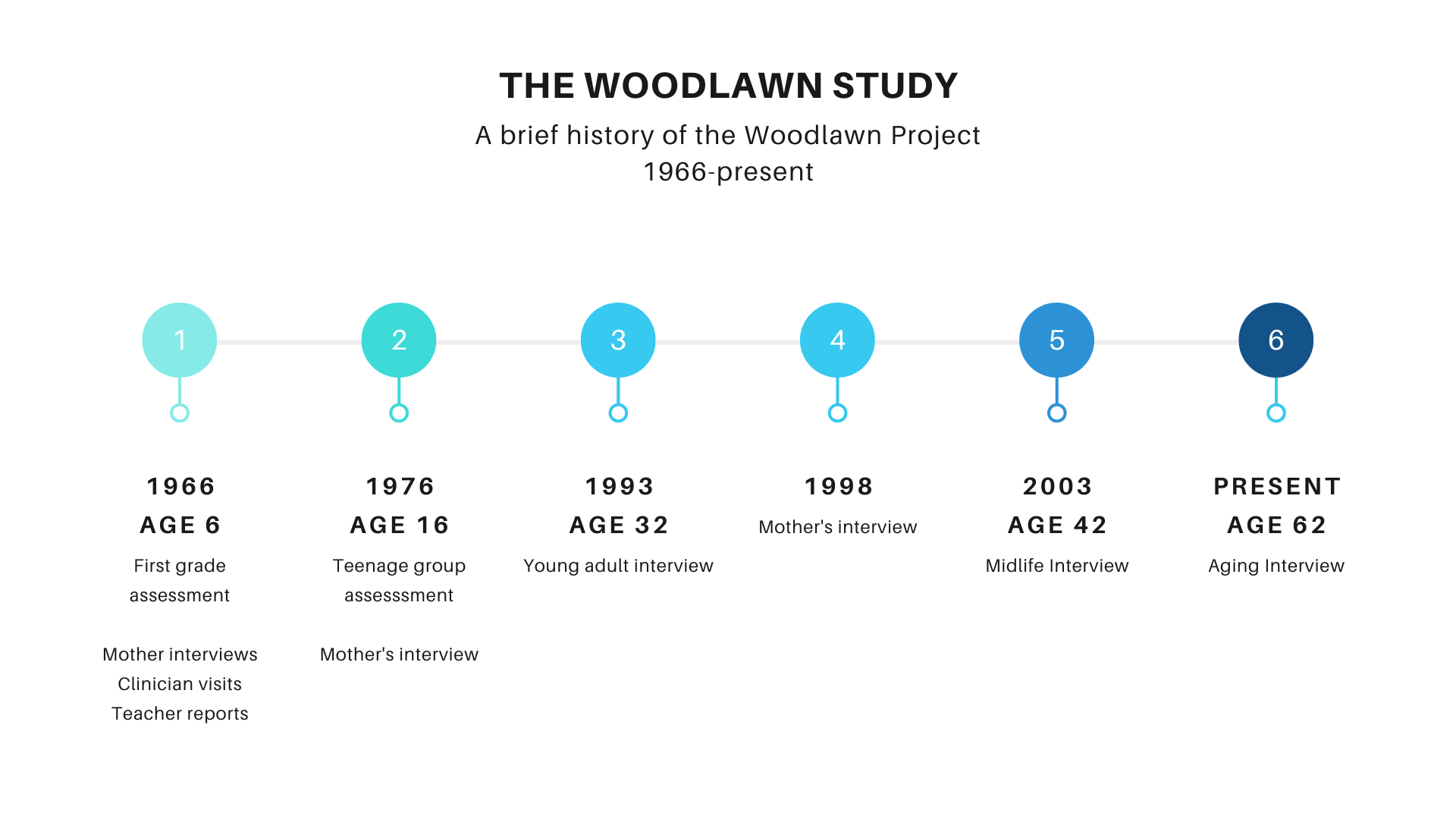 Woodlawn Project Timeline
