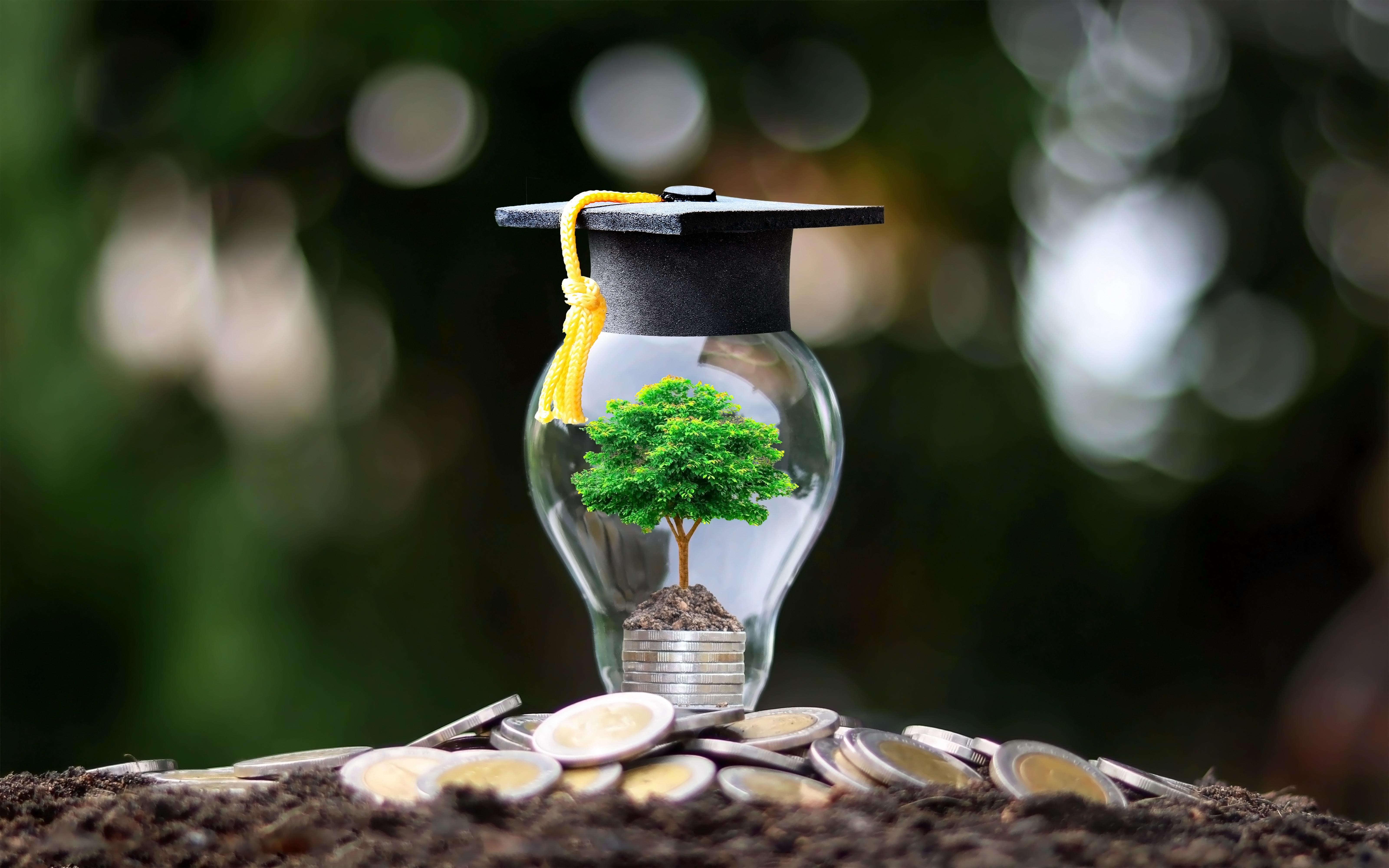 Miniature tree sits inside of a clear light blub. Light bulb has a black graduation cap with a gold tassel on top.