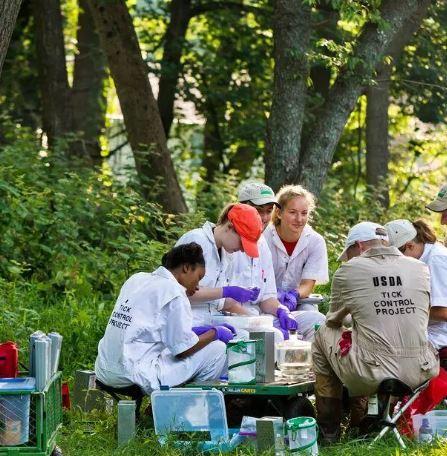 Students researching ticks outdoors 