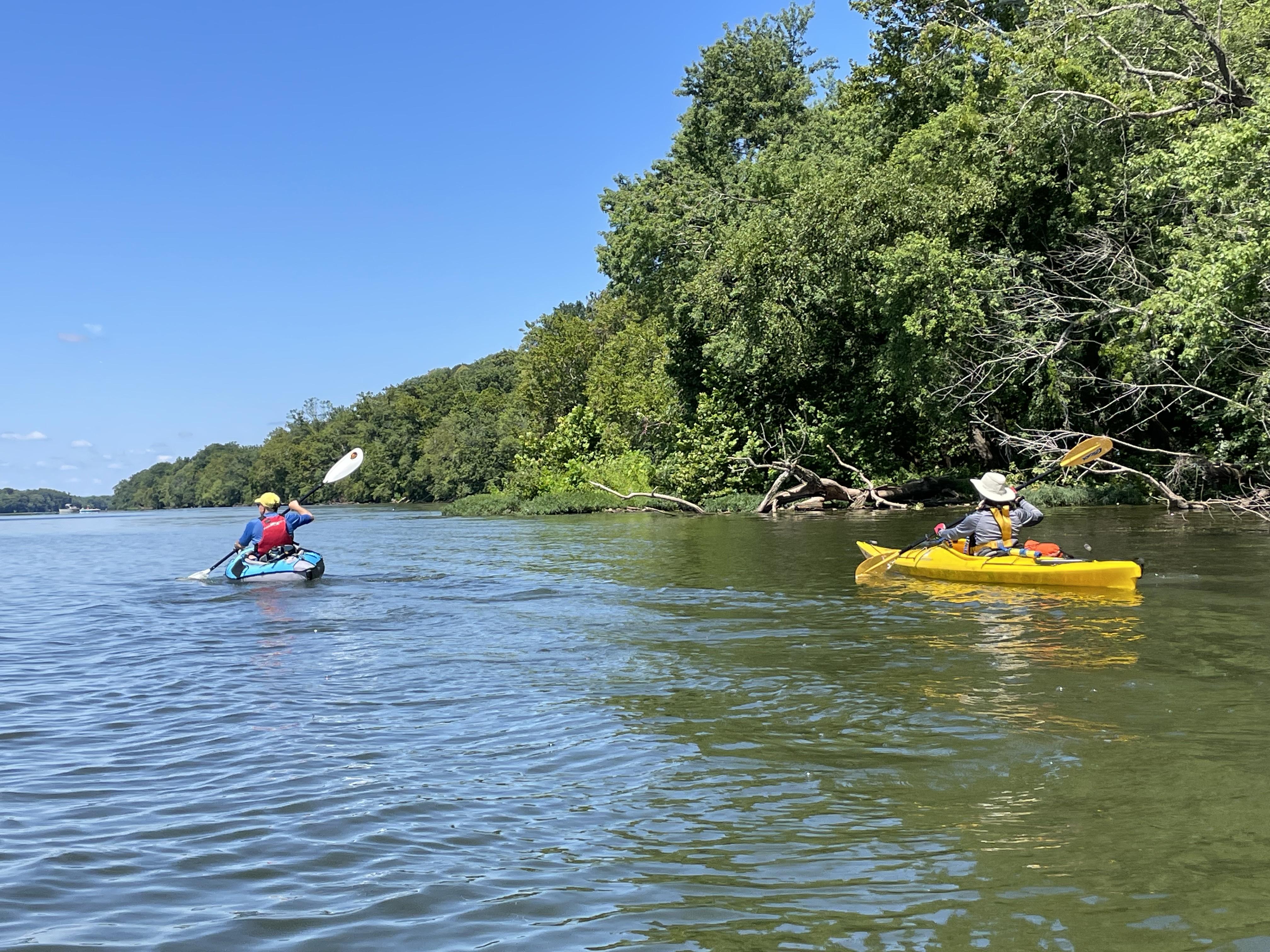 two people in kayaks on the water