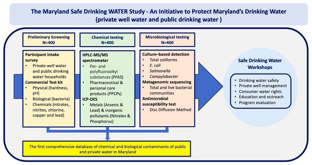 MSDWStudy