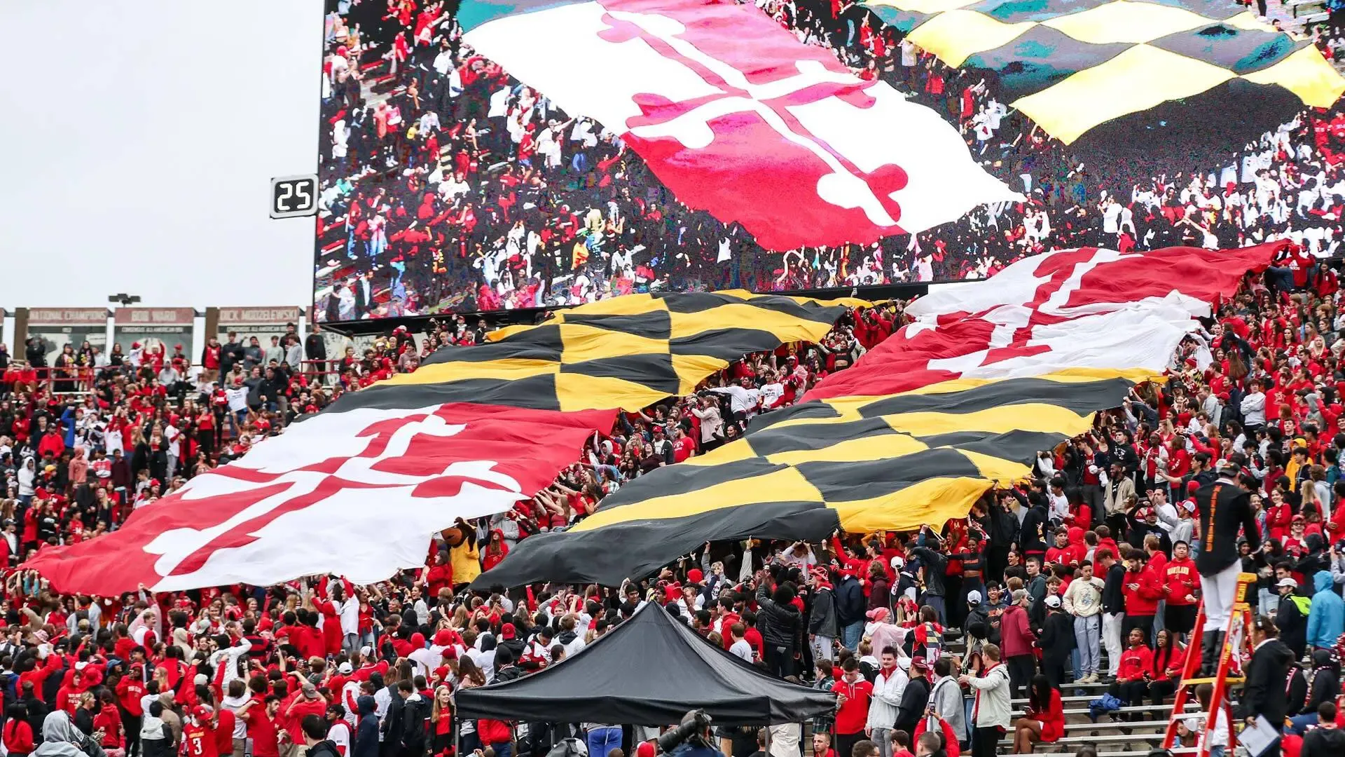 maryland flashmob in football stadium