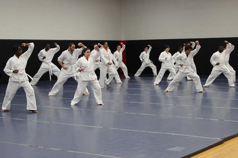 Students in Martial Arts Course