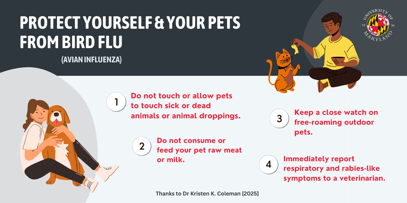 bird flu tips to protect pets