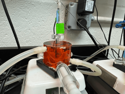 Mitochondrial respiration set-up