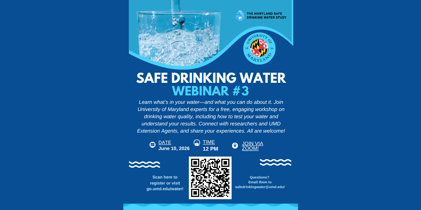 Flyer for the webinar