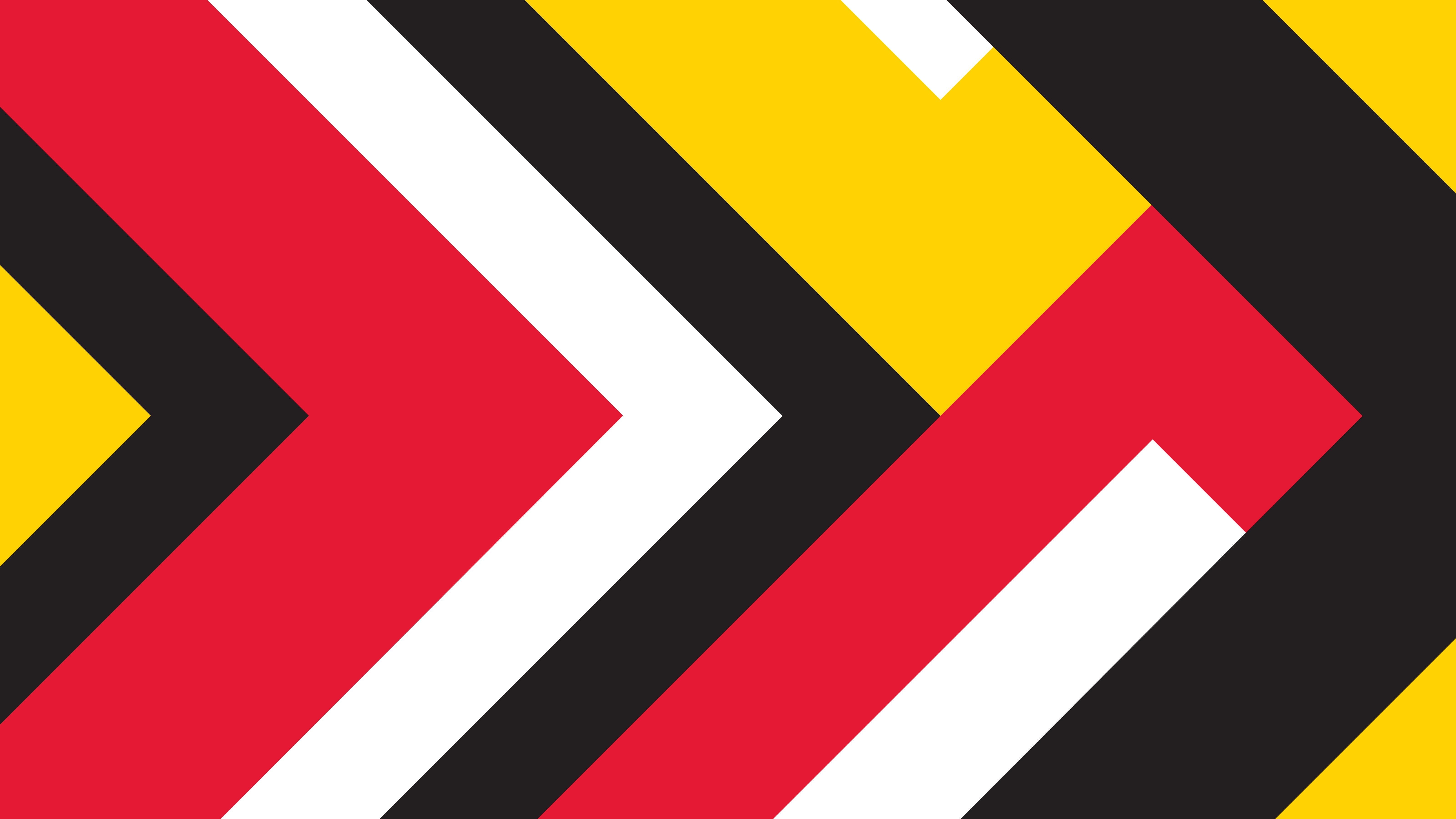UMD Color Flag