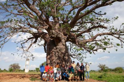 students standing at the base of a giant tree