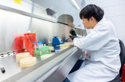 student working in a lab
